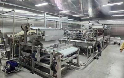 橙子榨汁生產(chǎn)線