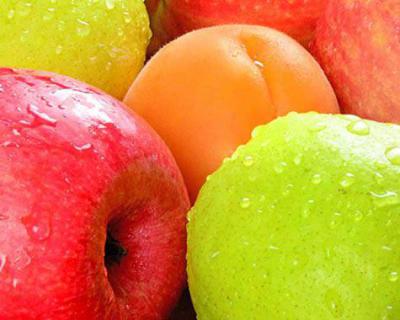 蘋果、梨加工生產線